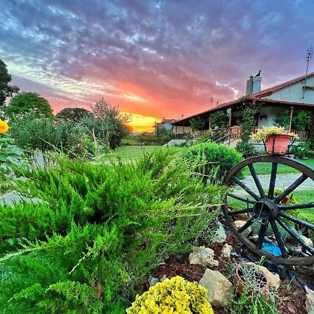 Villa Ivonnis Garden Mesimvria  Esterno foto
