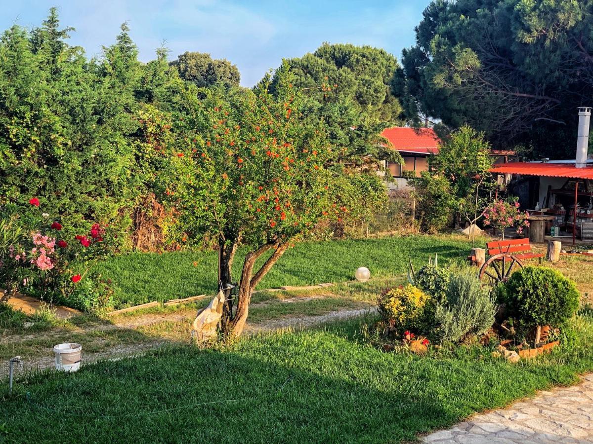 Villa Ivonnis Garden Mesimvria  Esterno foto