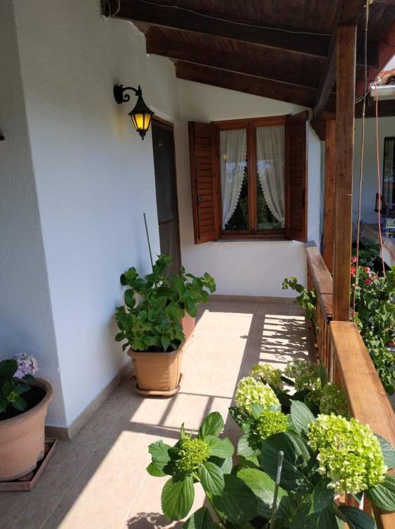 Villa Ivonnis Garden Mesimvria  Esterno foto