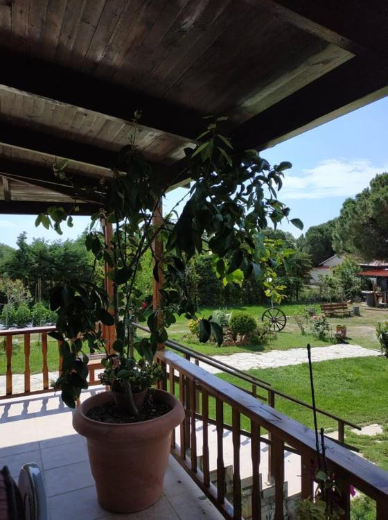 Villa Ivonnis Garden Mesimvria  Esterno foto