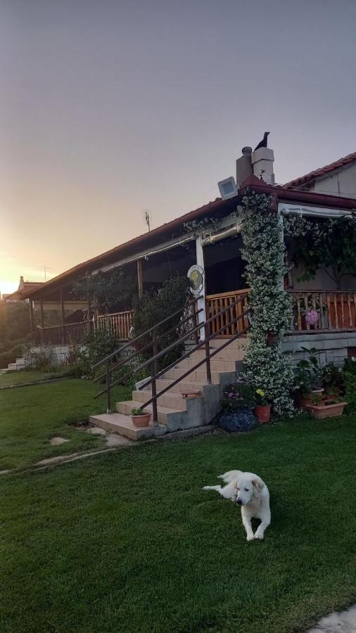 Villa Ivonnis Garden Mesimvria  Esterno foto