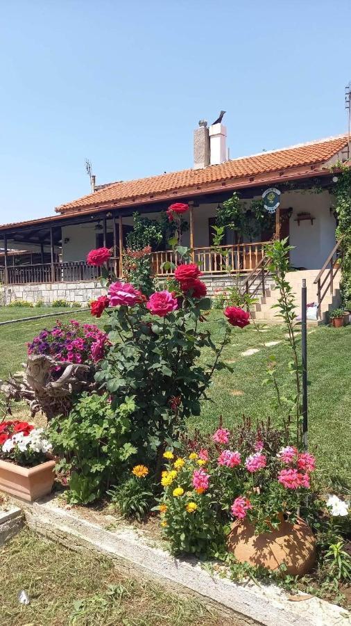Villa Ivonnis Garden Mesimvria  Esterno foto