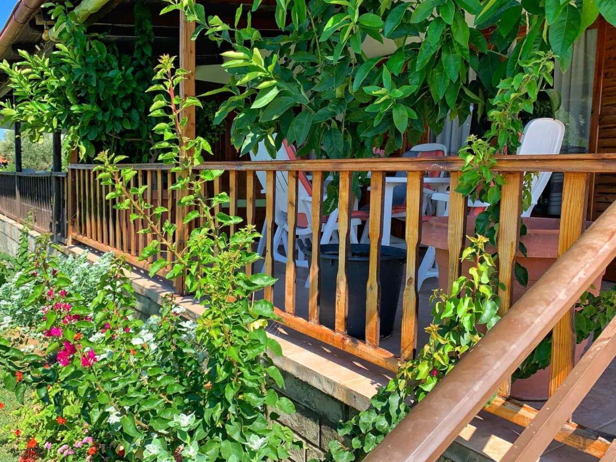 Villa Ivonnis Garden Mesimvria  Esterno foto
