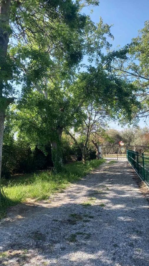 Villa Ivonnis Garden Mesimvria  Esterno foto