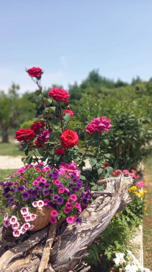 Villa Ivonnis Garden Mesimvria  Esterno foto