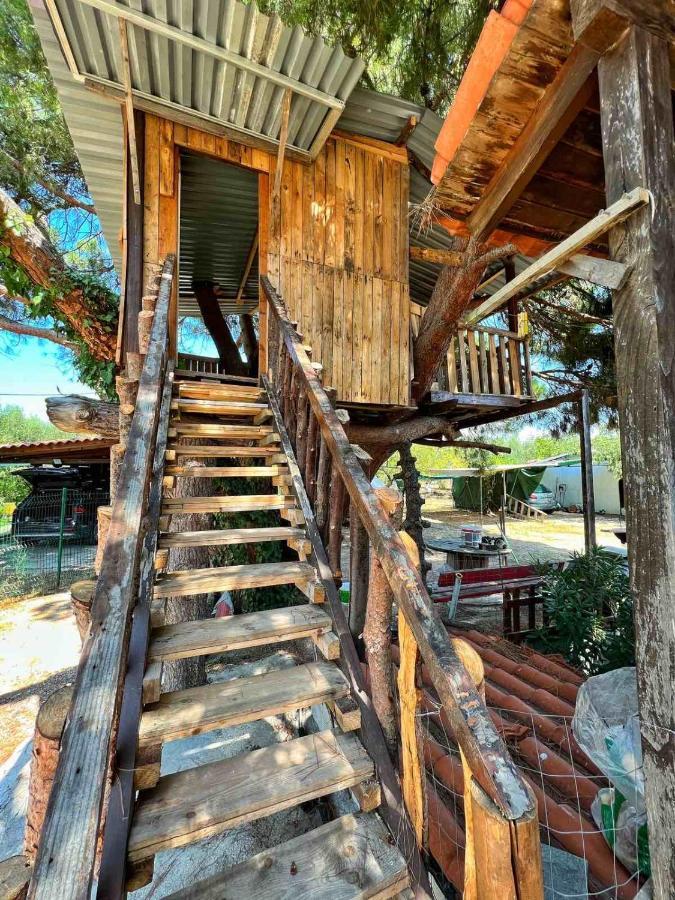 Villa Ivonnis Garden Mesimvria  Esterno foto