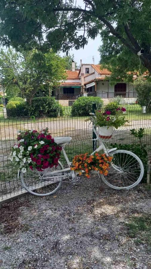 Villa Ivonnis Garden Mesimvria  Esterno foto