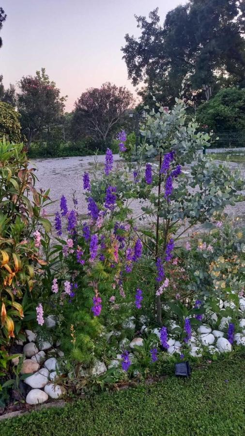 Villa Ivonnis Garden Mesimvria  Esterno foto